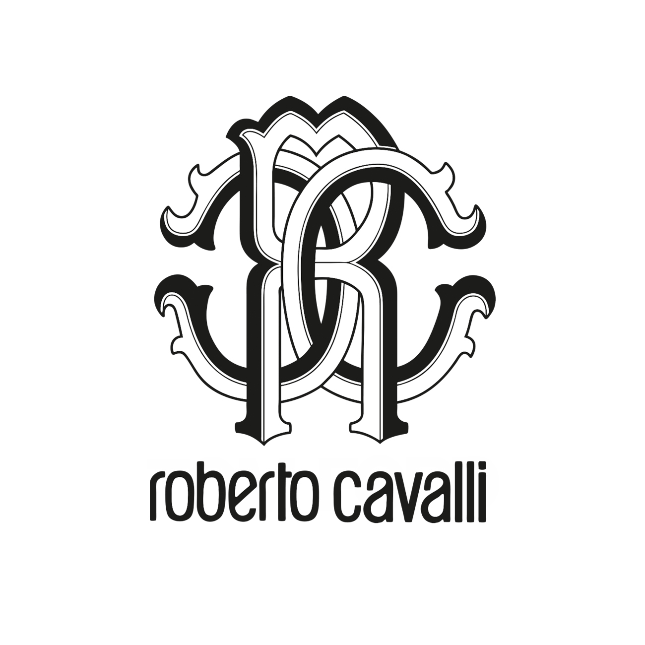 ROBERTO CAVALLI Lady's Short Sleeve Top, Tee Shirt, T-Shirt Size S | eBay